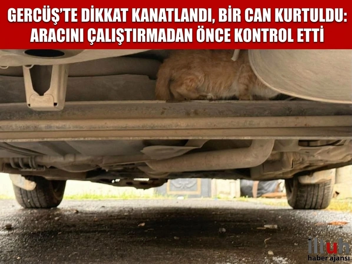 GERCÜŞ’TE DİKKAT KANATLANDI, BİR CAN KURTULDU: ARACINI ÇALIŞTIRMADAN ÖNCE KONTROL ETTİ