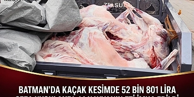 BATMAN’DA KAÇAK KESİMDE 52 BİN 801 LİRA CEZA UYGULANDI, 14 HAYVANIN ETİ İMHA EDİLDİ