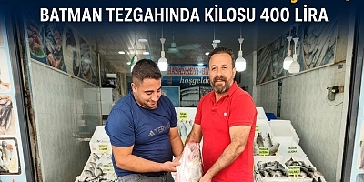 GÖRENLER DÖNÜP BİR DAHA BAKTI: BOTAN ÇAYI’NDAN 69 KİLOLUK DEV TURNA ÇIKTI, BATMAN TEZGAHINDA KİLOSU 400 LİRA